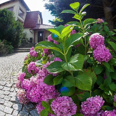 Villa Jasmin Zielona Gora  Ngoại thất bức ảnh