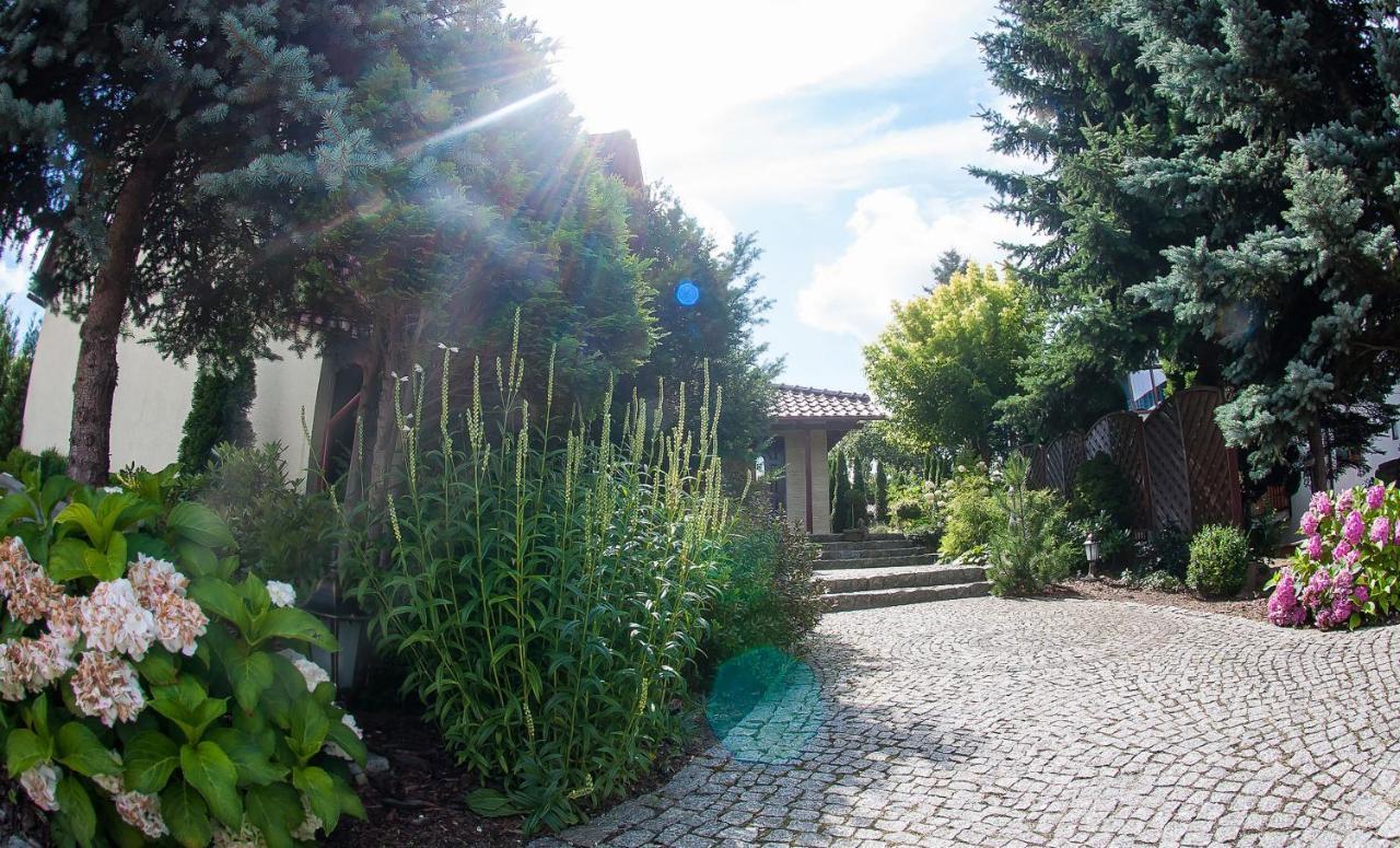 Villa Jasmin Zielona Gora  Ngoại thất bức ảnh