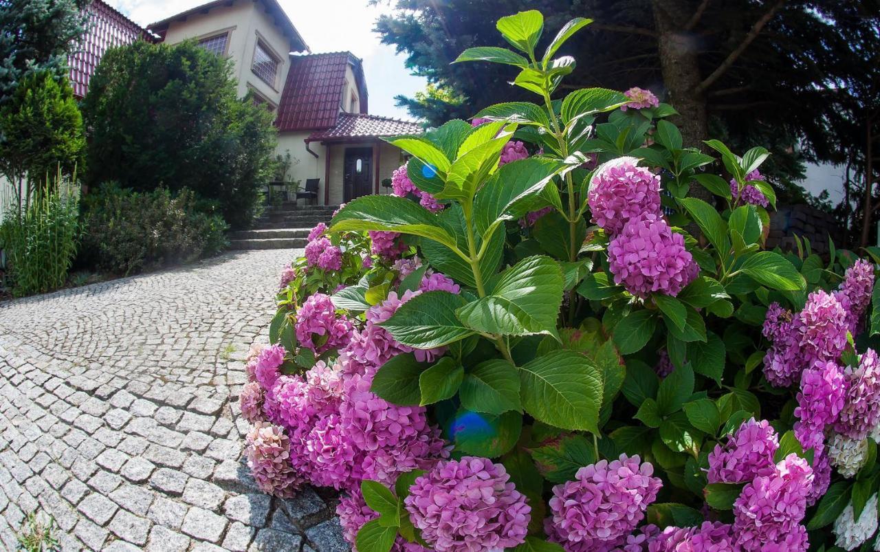 Villa Jasmin Zielona Gora  Ngoại thất bức ảnh